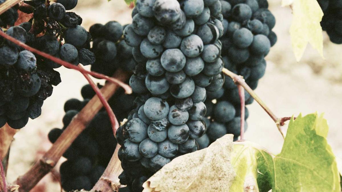 Veilig drinkwater vinden in de natuur